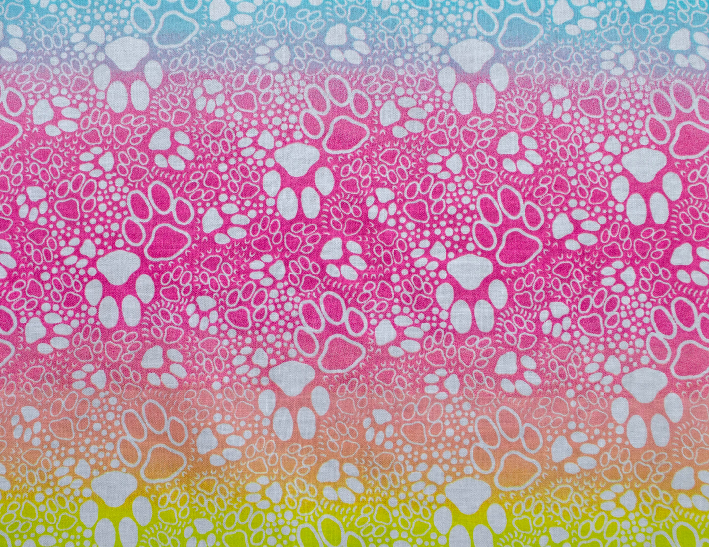 Color paws (117)