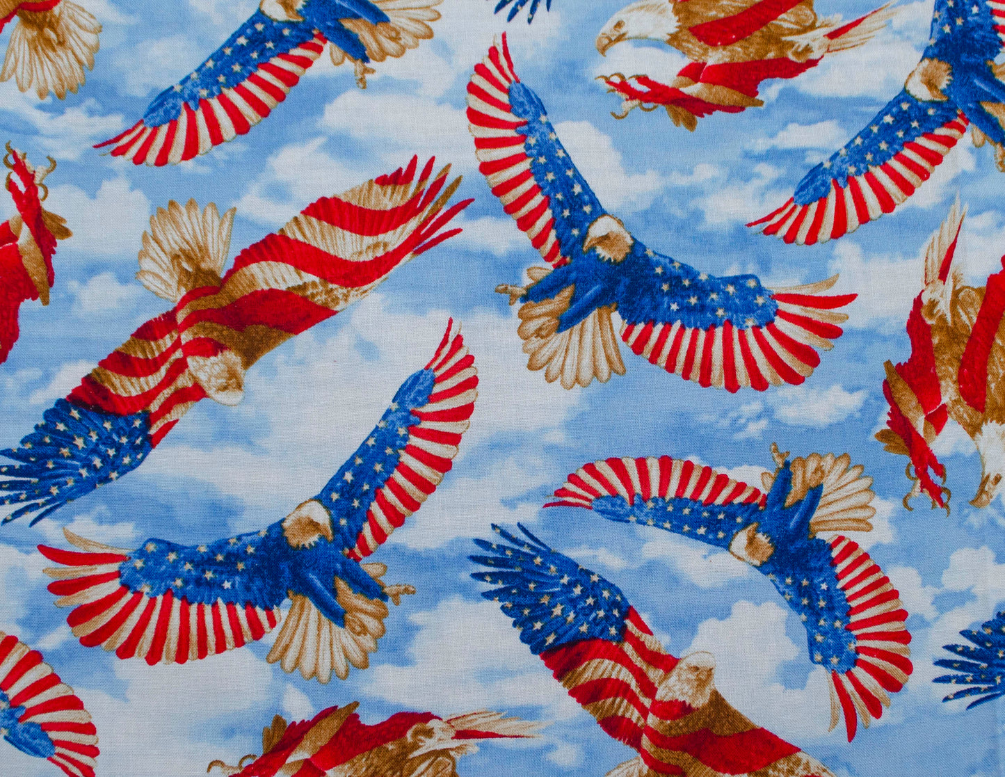 American eagle (149)