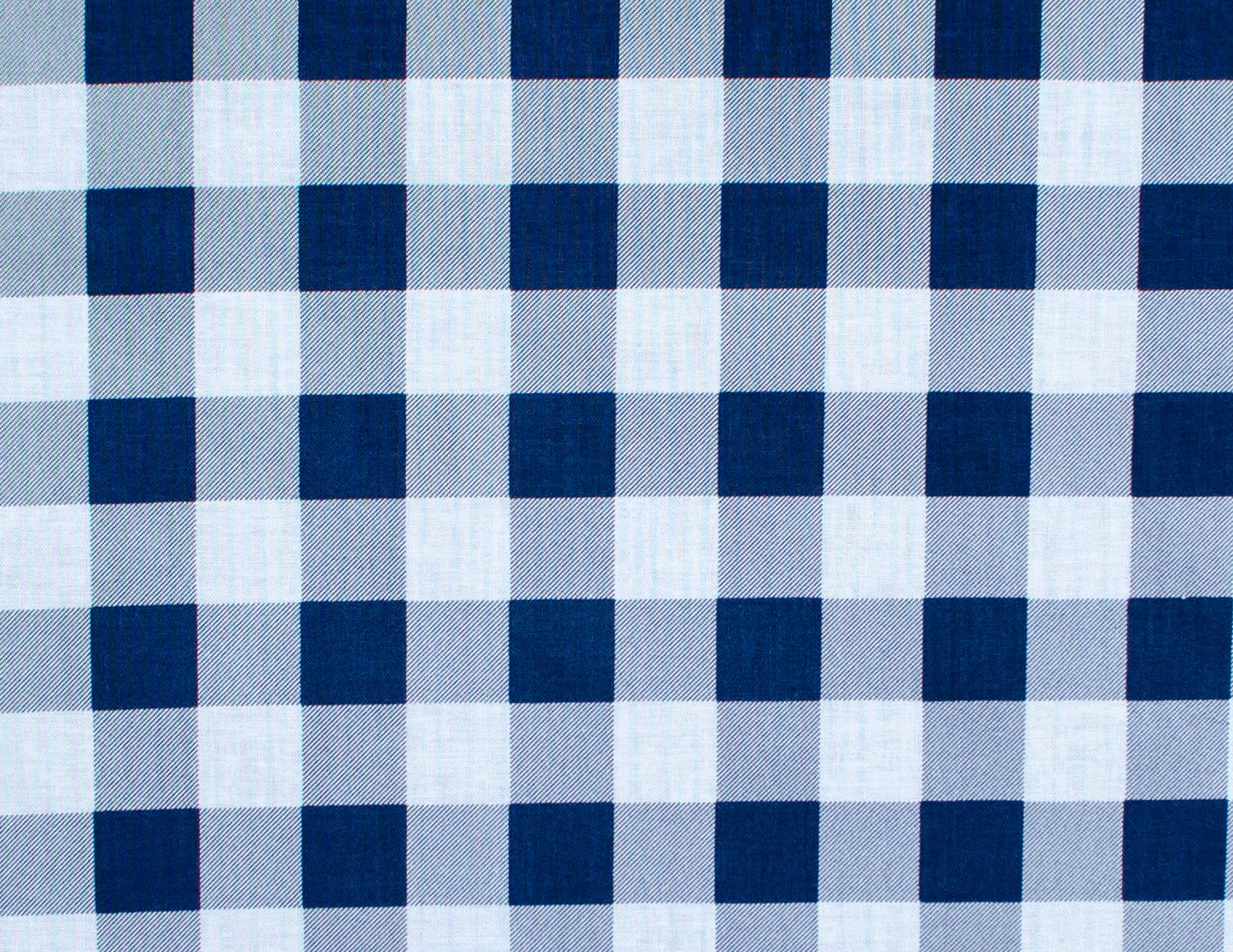 Blue plaid (254)