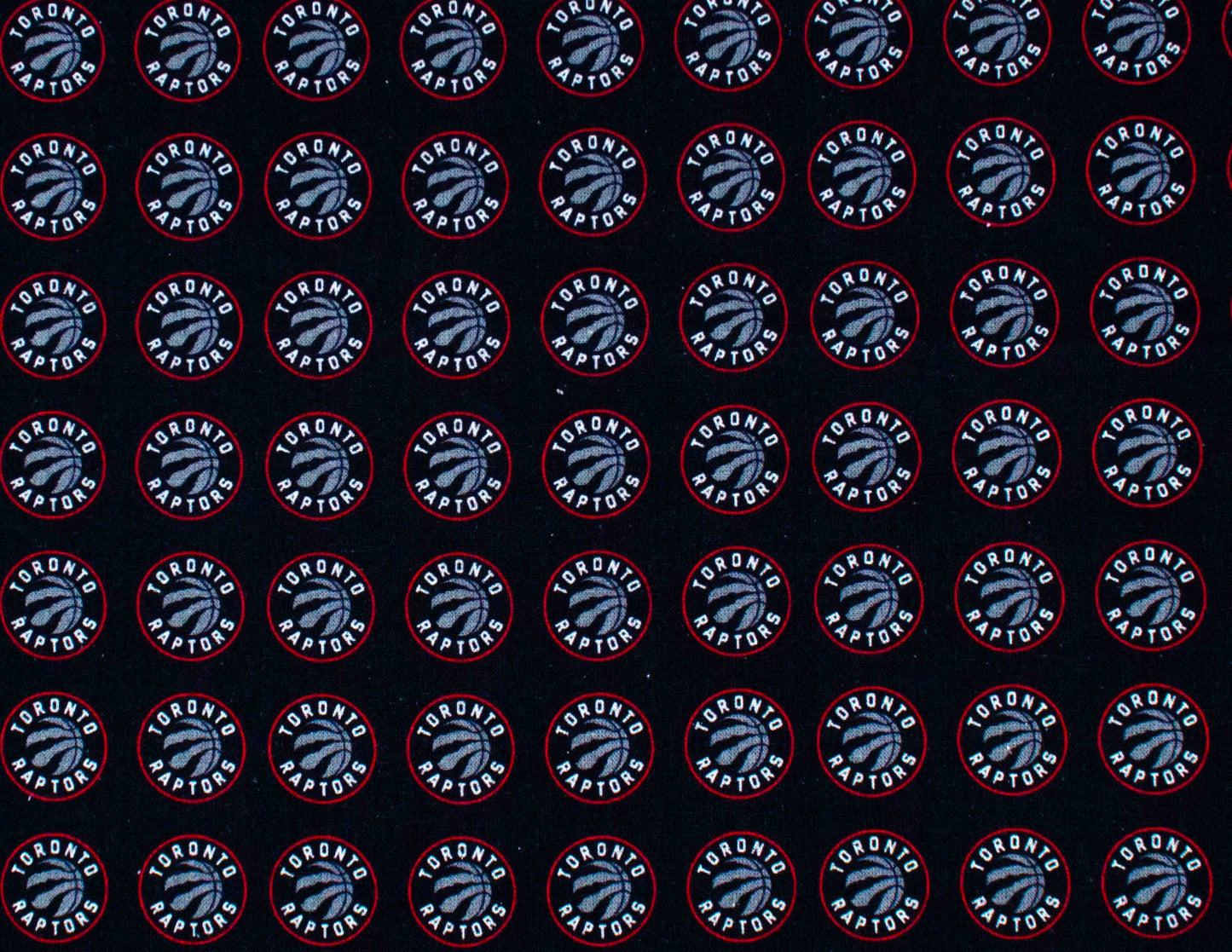 Toronto Raptors