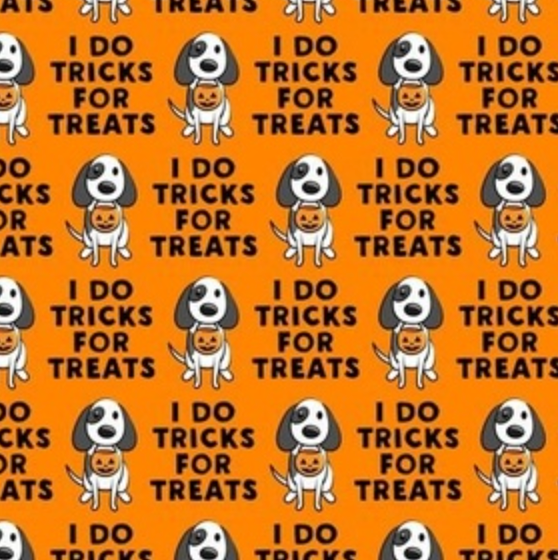 Tricks for treats ( H 16)