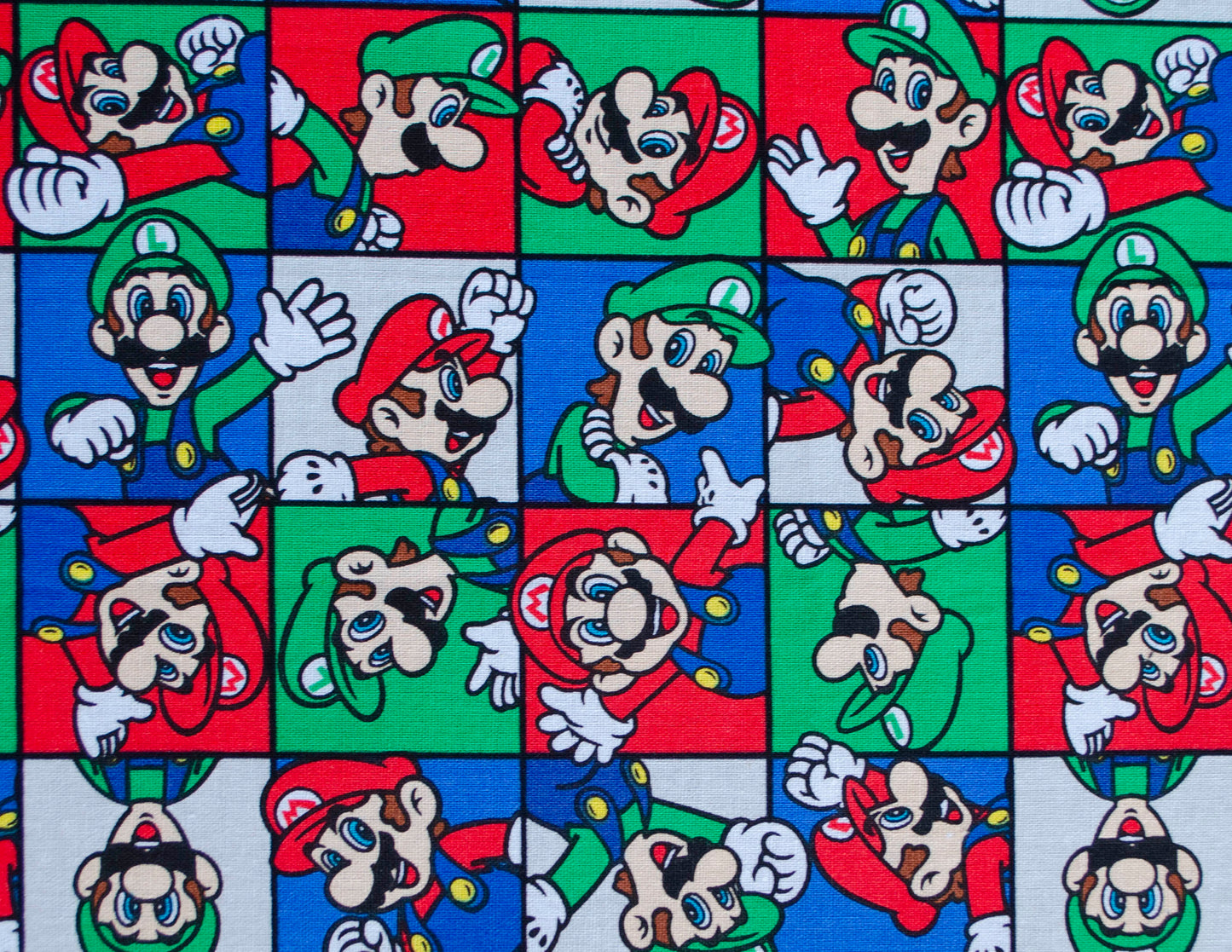 Mario and Luigi (010)
