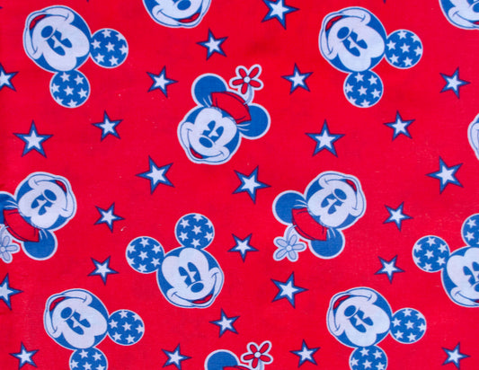 Red and Blue Mickey and Minnie inspired (056)