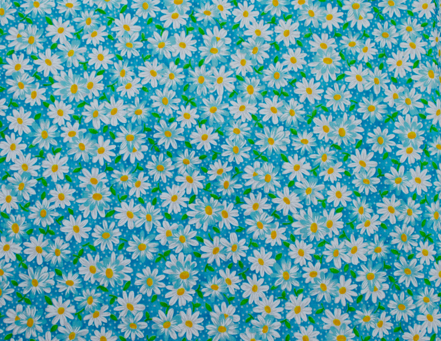 Turquoise daisies (111)