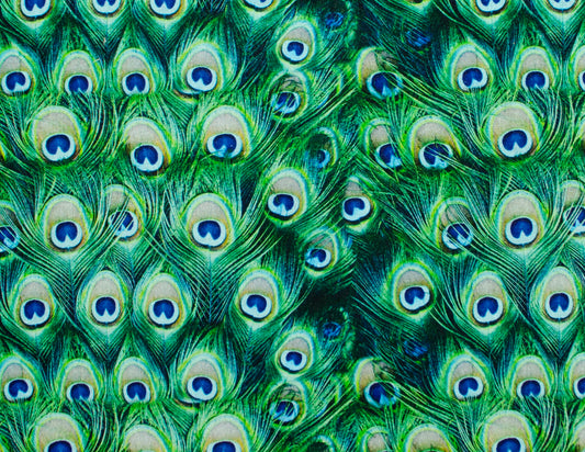 Peacock (203)