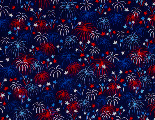 Fireworks (214)