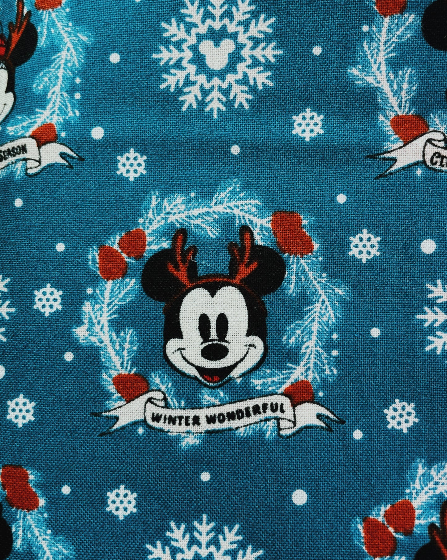 Mickey winter wonderland