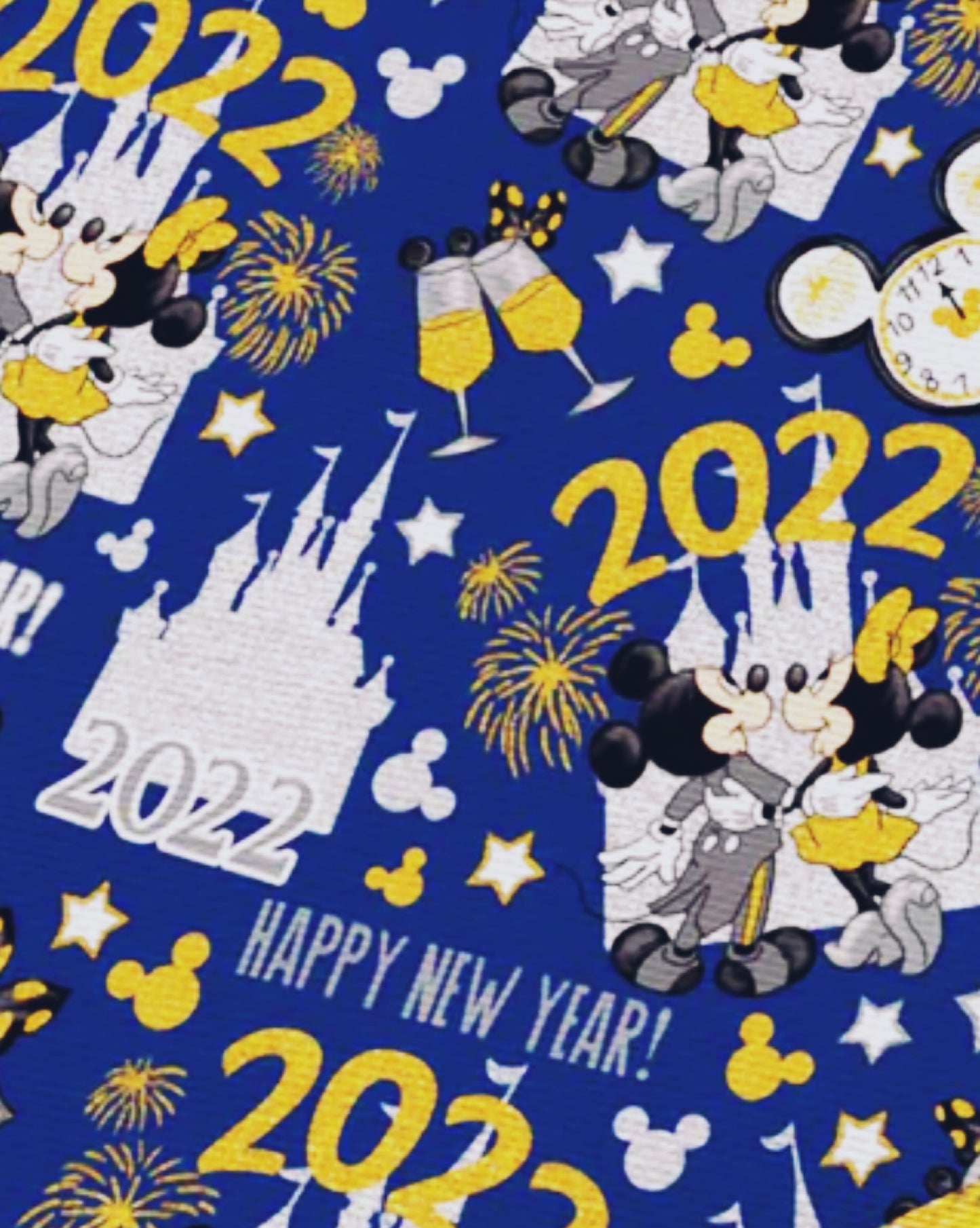 Happy new year Mickey and Minnie